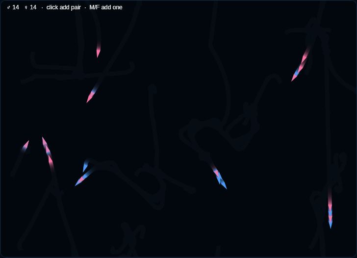 Male Female — p5.js reconstruction screenshot